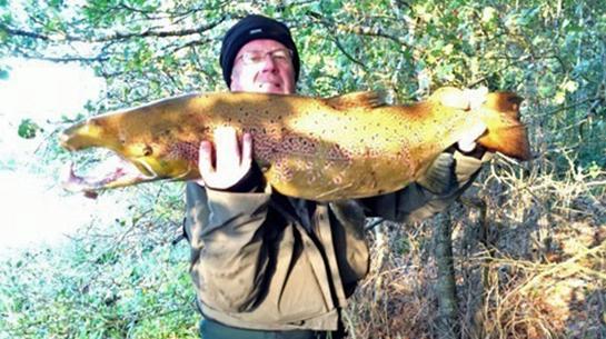 Fly Fisherman Catches Biggest Salmon in Scotland in 75 Years