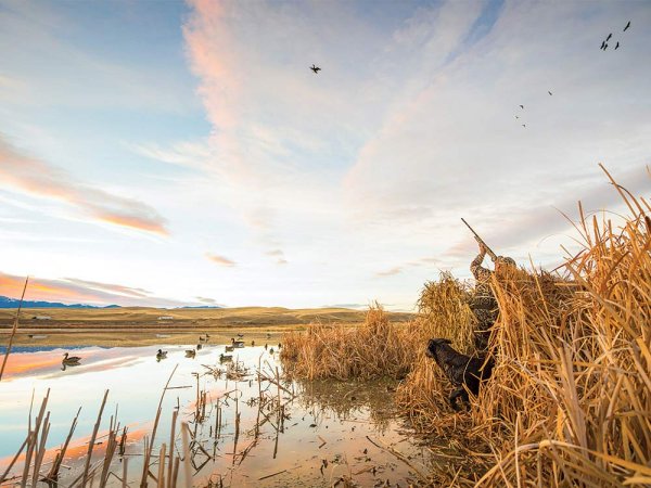 How to Pick the Right Duck Hunting Lease