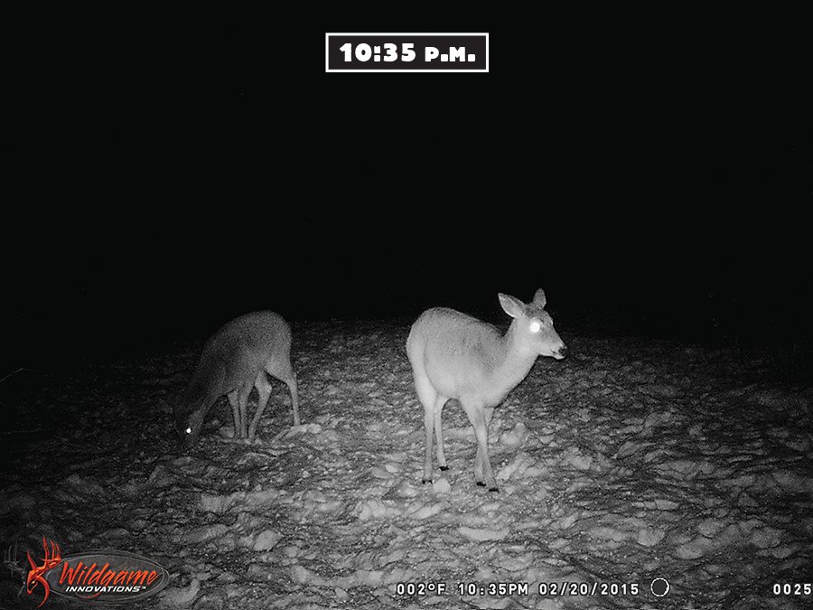 trail cam test