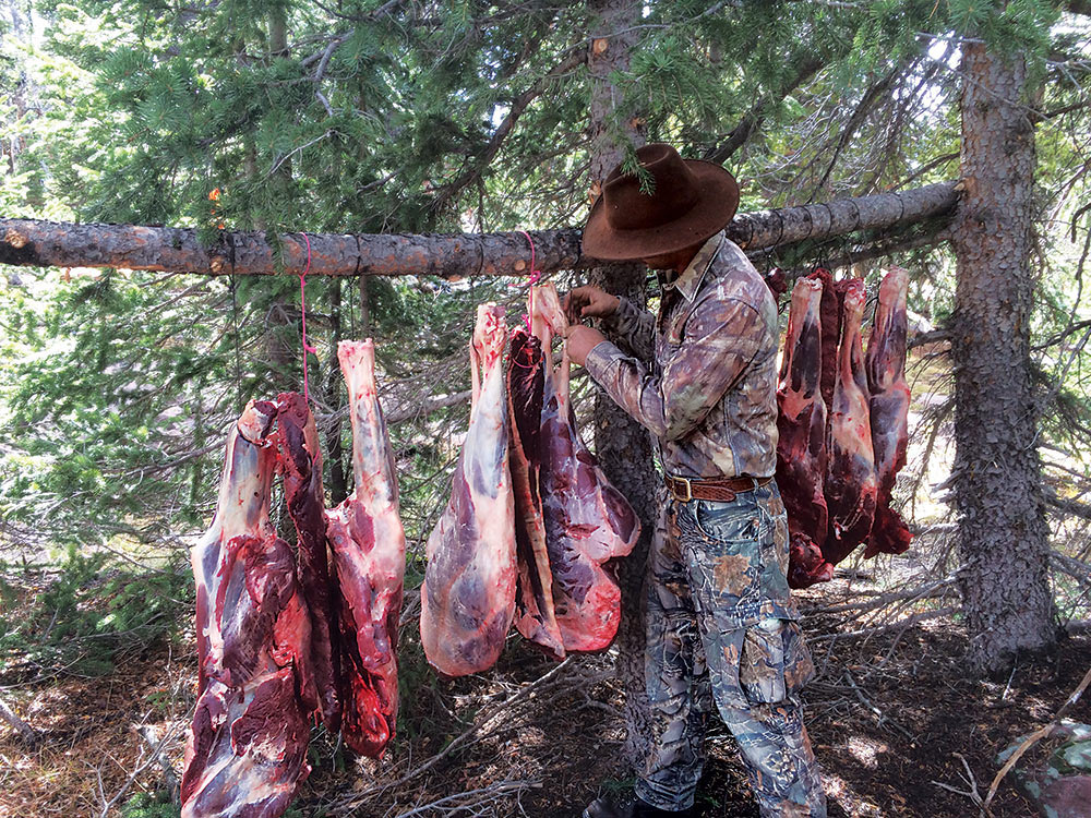hunter stringing up elk meat