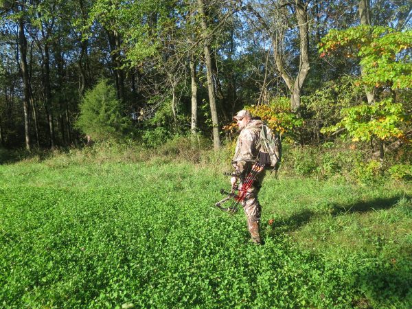 Bowhunting Tactics: Why Field Edges are Perfect for an Opening-Day Ambush