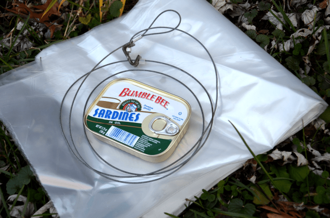 Survival Fishing Kit: Fish Like Your Life Depends on it