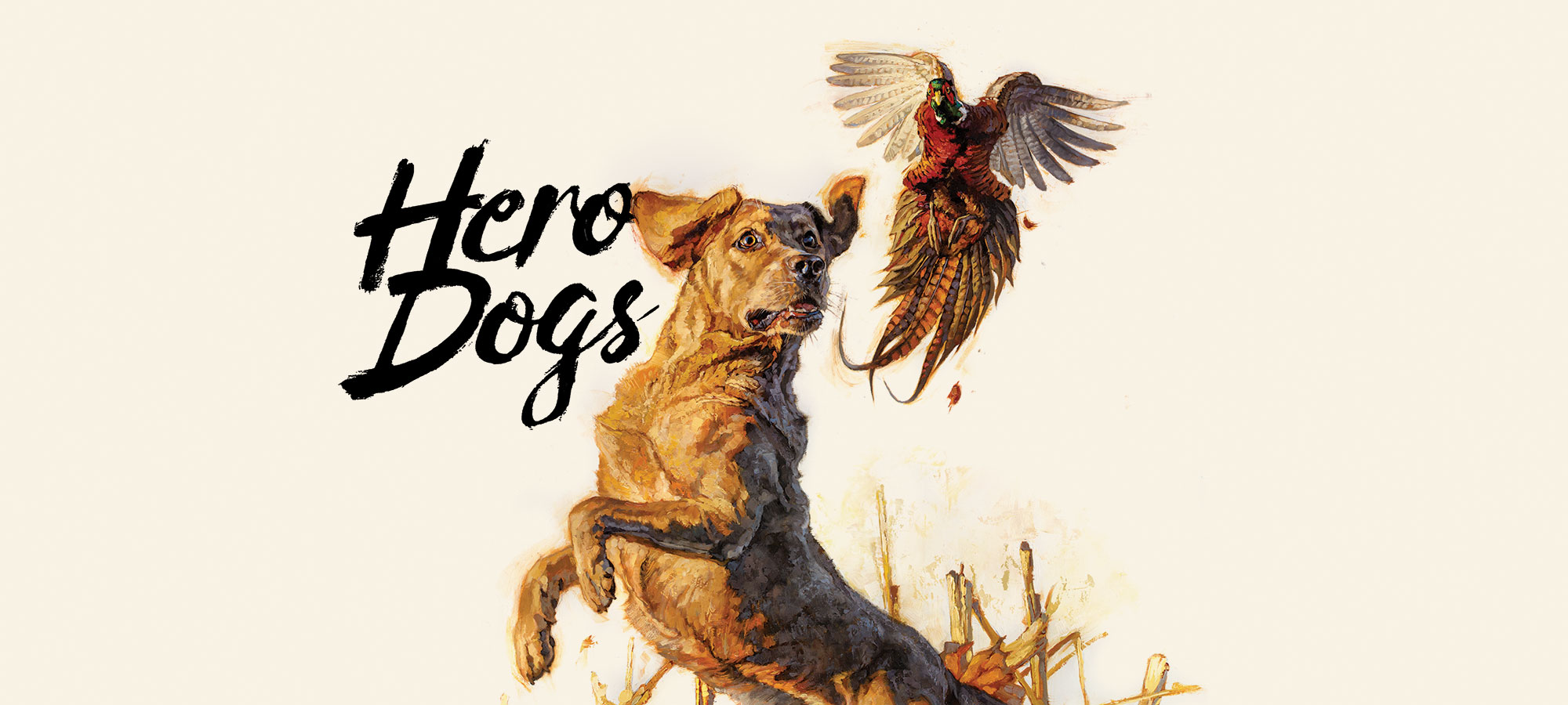 15 Tips and Tactics for a BetterHunting Bird Dog