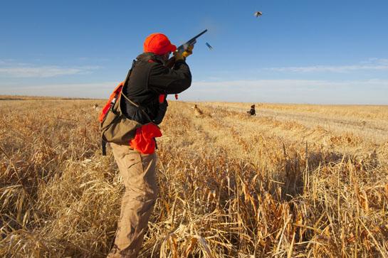 Bird Hunting: Wingshooting's 7 Deadly Sins