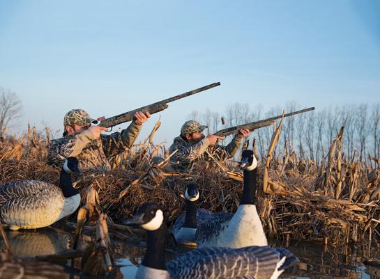 Shotgun Tips: How to Shoot From a Layout Blind