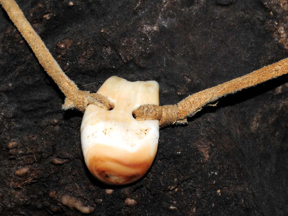 handmade elk ivory necklace