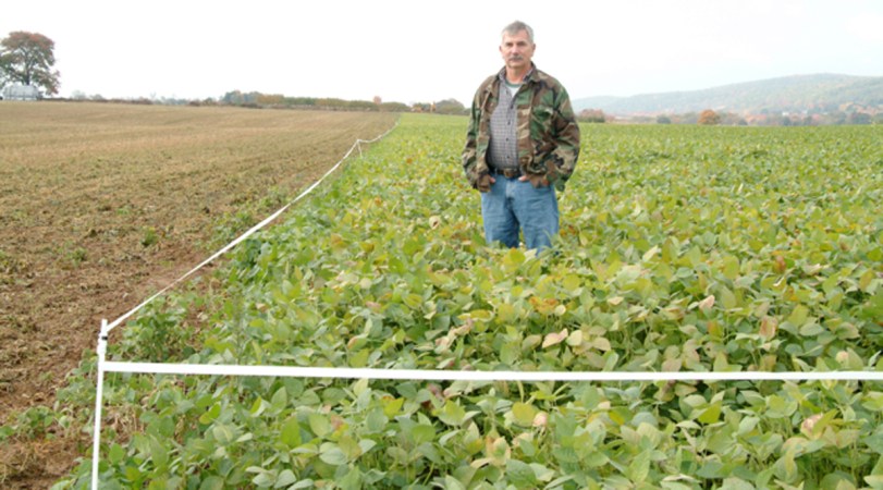 A man in a camo jacket standing in a lush food plot with tape around it beside an over-browsed food plot.