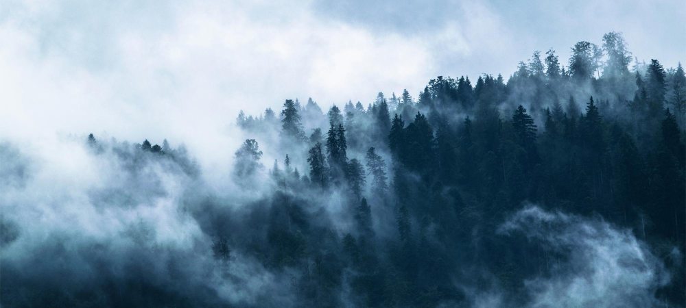 cloudy foggy forest mountain