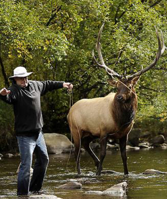 Photos: Fly Fishing With Elk
