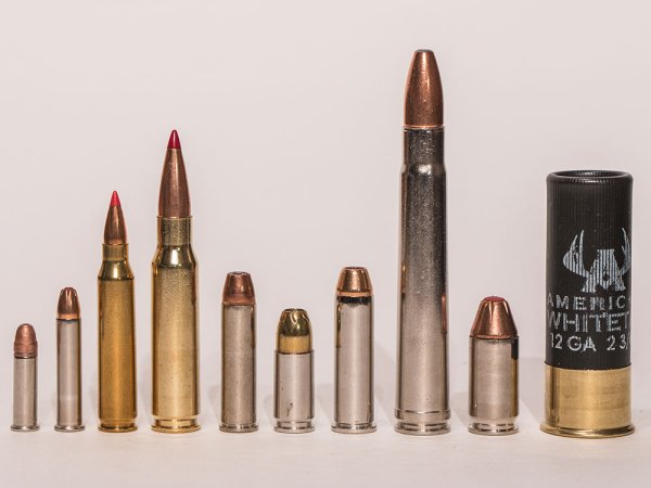 The Top 10 Essential Cartridges for the American Shooter