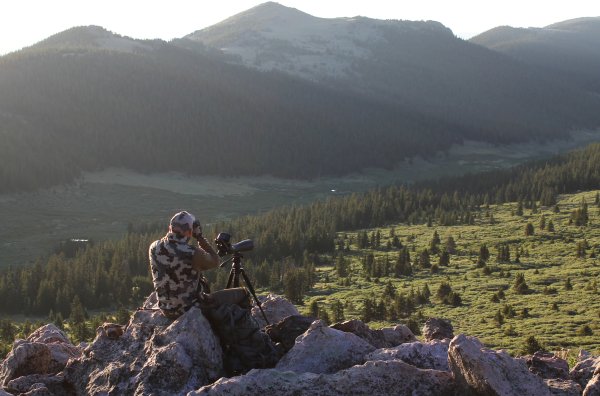 Scouting Tips: How To Find Elk in a New Hunting Area
