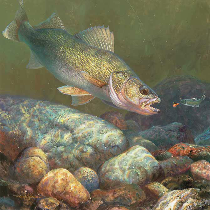 httpswww.outdoorlife.comsitesoutdoorlife.comfilesimport2014importImage2011photo10013215797_walleye-art-print.jpg