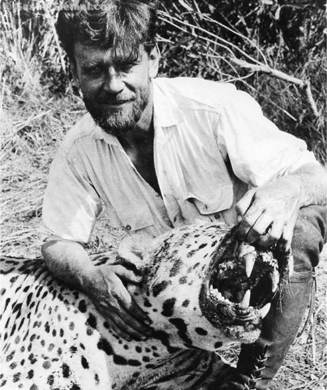 Killer Cat Week: Jaguar Hunter