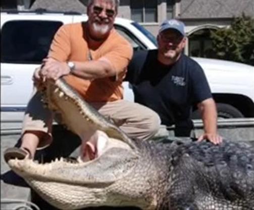 Record Alligator Caught in Arkansas