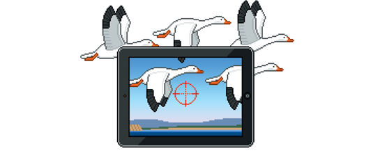 Digital Migration: How to Find Snow Geese This Spring