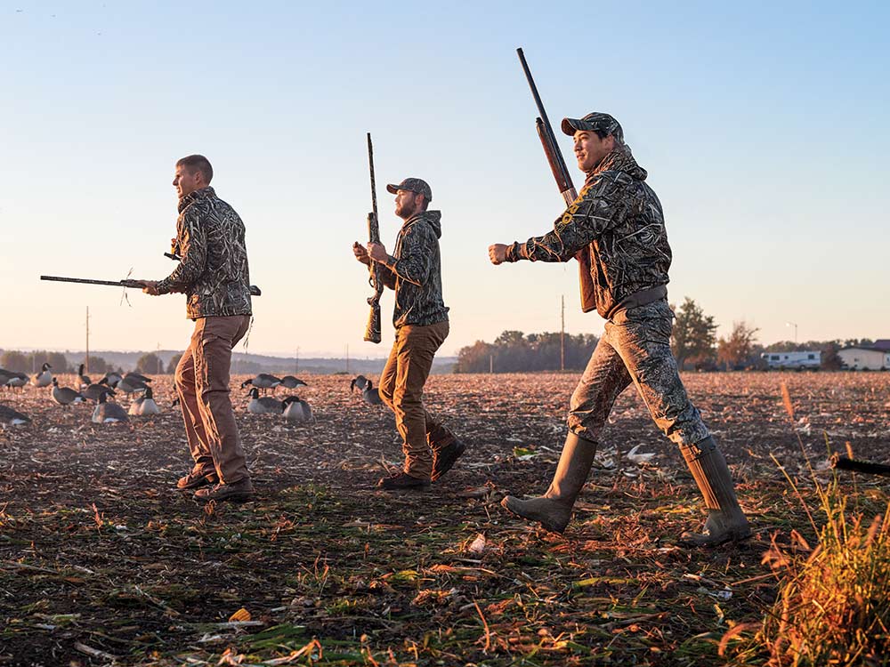 geese hunters in field