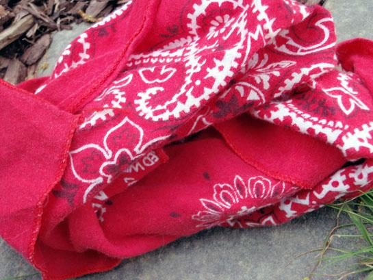 httpswww.outdoorlife.comsitesoutdoorlife.comfilesimport2014importBlogPostembedbandana.jpg