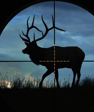 Illuminated Reticles Are Useless on Big-Game Riflescopes