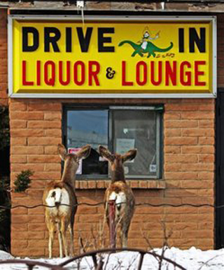 deer at drive in liquor store