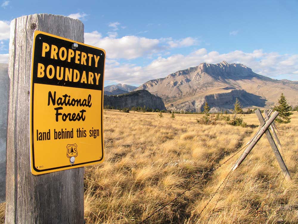 Elliott Forest limit