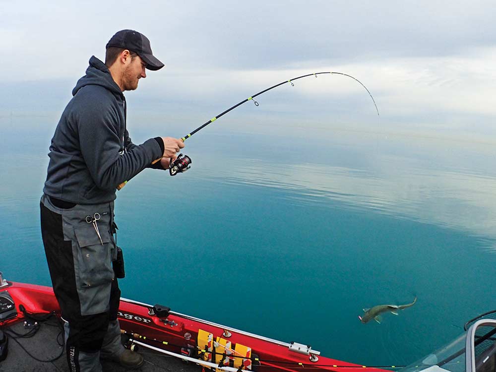 fishing lake michigan giant trout