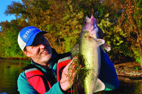 Go Shallow: How to Catch Walleyes in the Weeds
