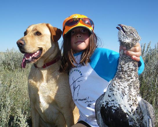 A Hunter’s Heavy Heart Over Sage Grouse Declines