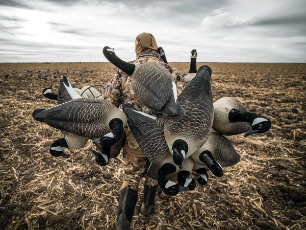 4 Hardcore Hunting Tactics to Take More Canada Geese