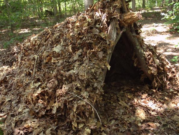 Survival Skills: How to Build a Leaf Hut Shelter