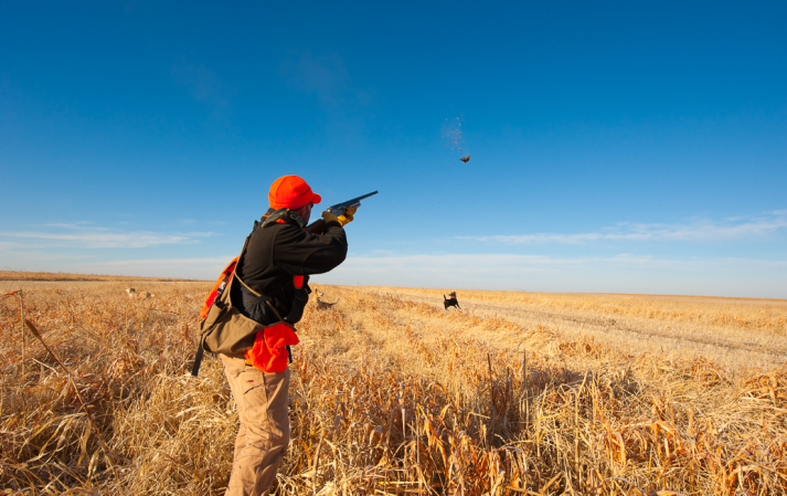 Hunting Wild vs. Preserve Birds, 101