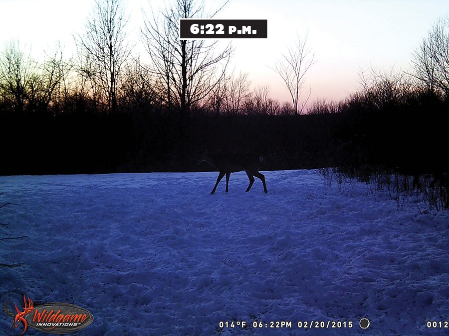 trail cam test