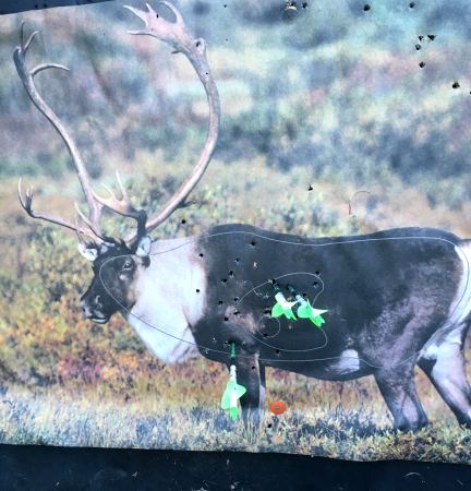 Why Bowhunters Should Mix Up their Targets to Shoot More Accurately