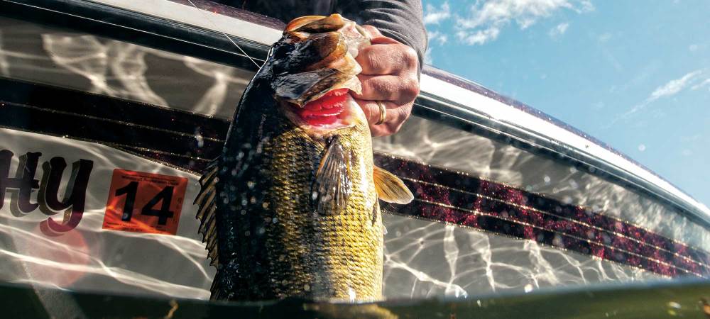 How To Tackle Topwater Bass