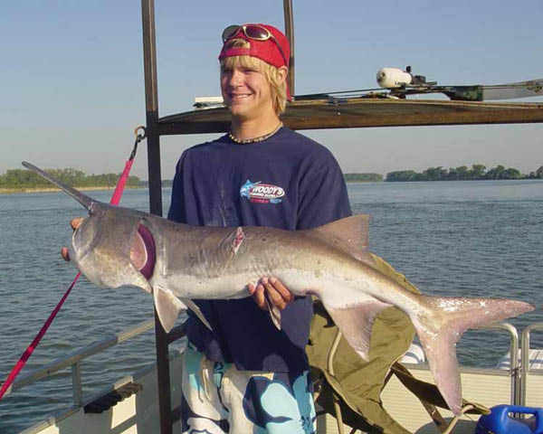 httpswww.outdoorlife.comsitesoutdoorlife.comfilesimport2014importImage2010photo610._Wheaton_Kremke_22_lb_paddlefish_Missouri_R._Yankton_SD.jpg