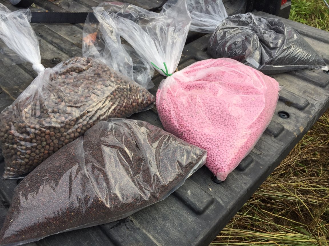 cheap food plot seed