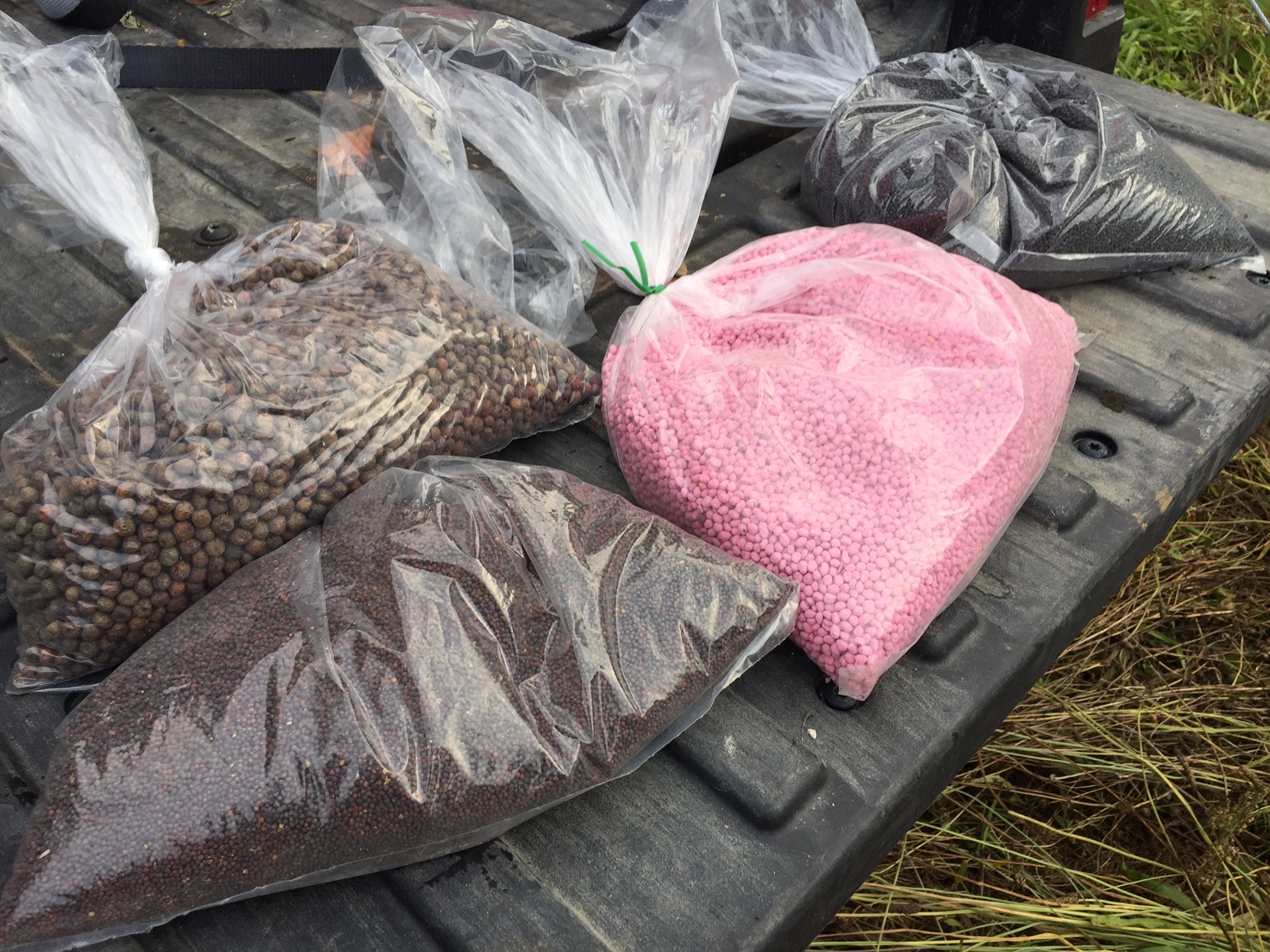 The Cheapest Food Plot You'll Ever Plant