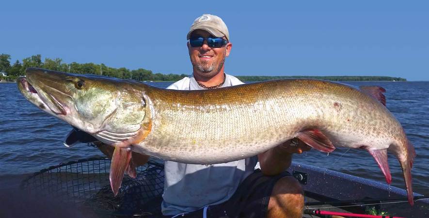 How to Catch Muskies by Reading Weather and Water Temperature