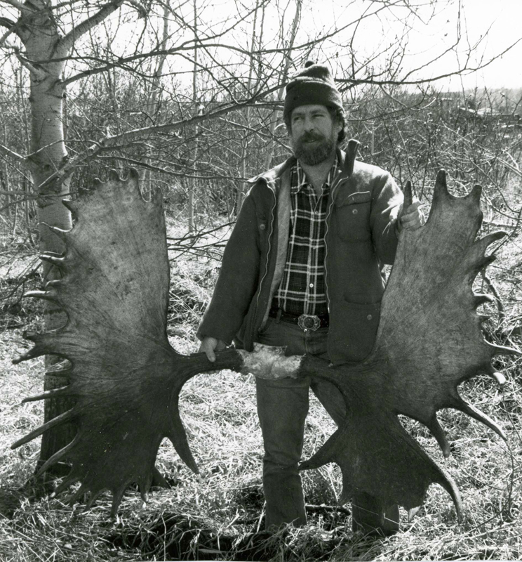 record-book bull moose antlers