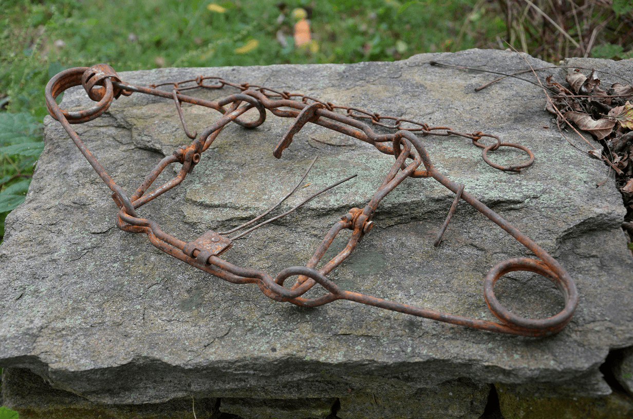 How to Use Body Grip Traps for Survival and SelfReliance