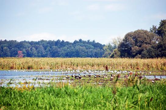 Public Land: Hunting and Fishing in Mississippi