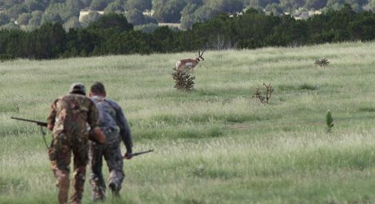 Antelope Hunting