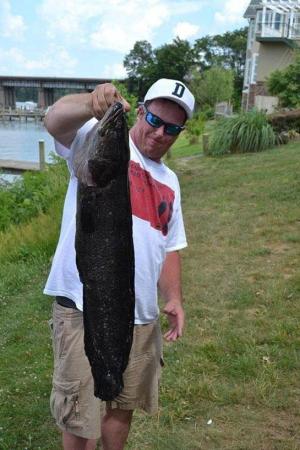 Potential World Record Snakehead Caught in Virginia