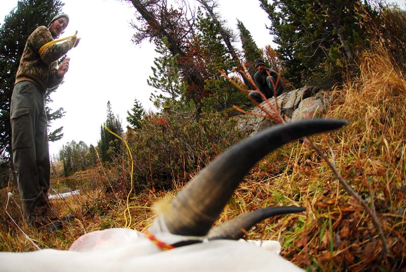 httpswww.outdoorlife.comsitesoutdoorlife.comfilesimport2013images201011Goat_33_copy_0.jpg