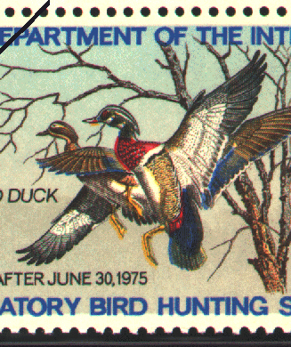 Best Duck Stamps: The Top 35 Federal Waterfowl Stamps