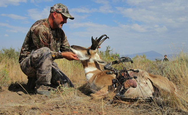 Trophy antelope Hart Mountain Antelope Refuge