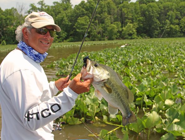 Geometry Fishing: 3 Things That Will Help You Catch More Bass