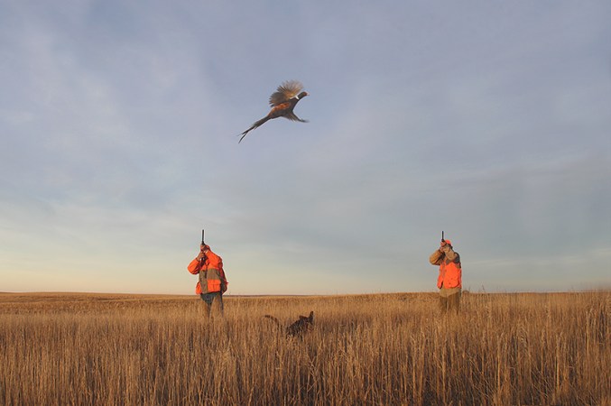 Cast and Blast: Pheasant Hunting and Walleye Fishing in South Dakota