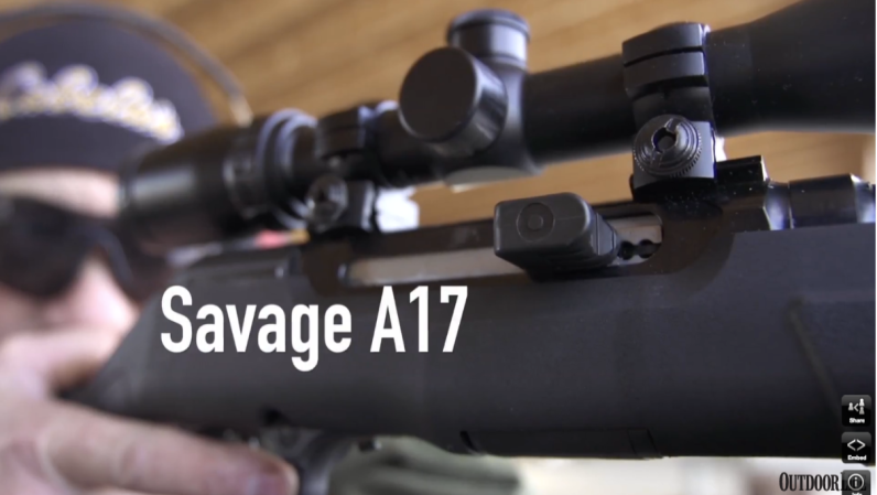 Gun Lab: Savage A17 Review