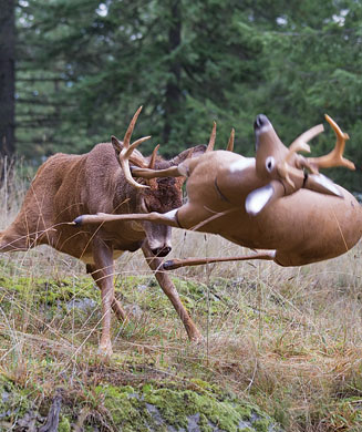 Deer Hunting: Ultra Aggressive Tactics for the Rut