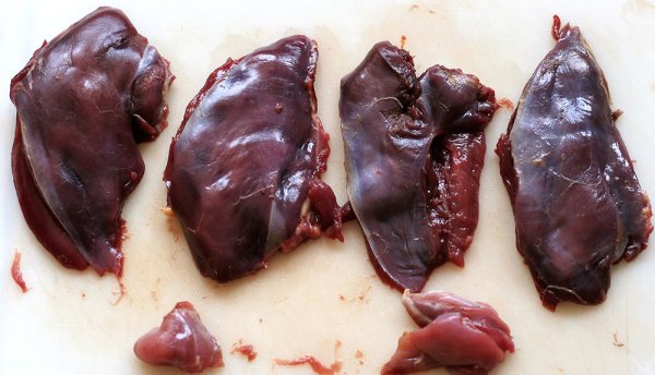 10 Mistakes Most Hunters Make When Cooking Wild Game